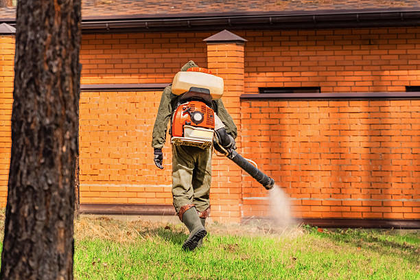 Trusted Mosquito Control service in Wakefield, MI - Nex Pest Control